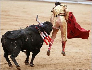 99_bullfight