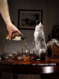 Beer in Animals