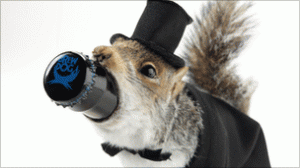 BrewDog squirrel