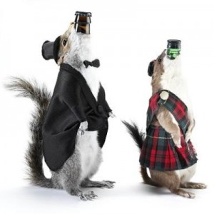 BrewDog taxidermy