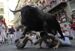 Pamplona bulls2