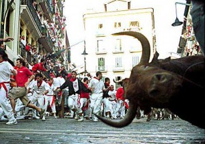 pamplona bull3