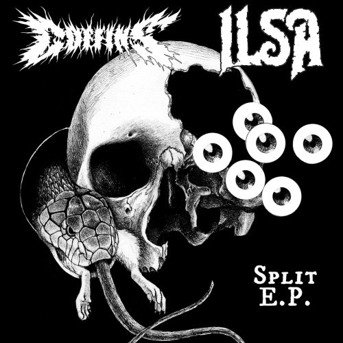 Coffins-Ilsa split