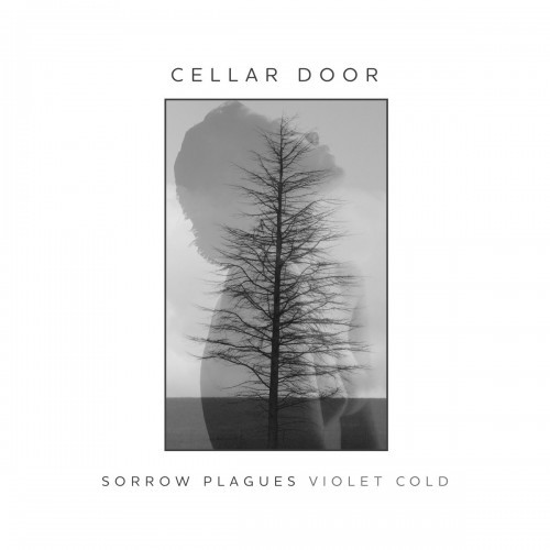 Sorrow Plagues-Violet Cold-Cellar Door