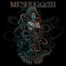 meshuggah-the-violent-sleep-of-reason-artwork