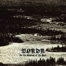 vordr-in-the-shadow-of-the-wolf