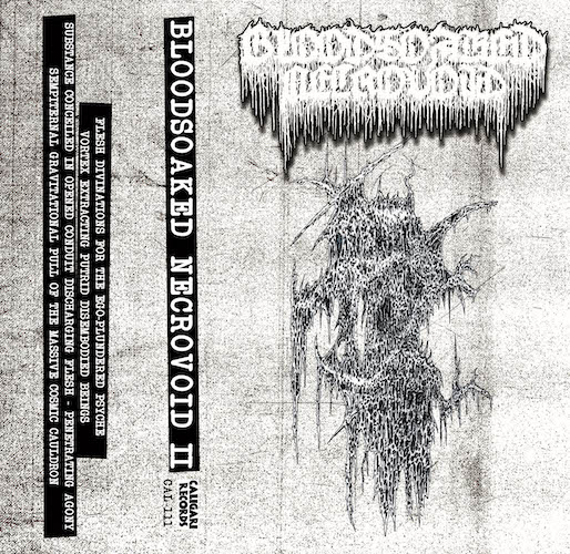 AN NCS PREMIERE: BLOODSOAKED NECROVOID - 