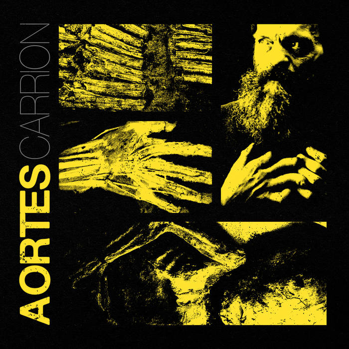 AORTES - CARRION - NO CLEAN SINGING